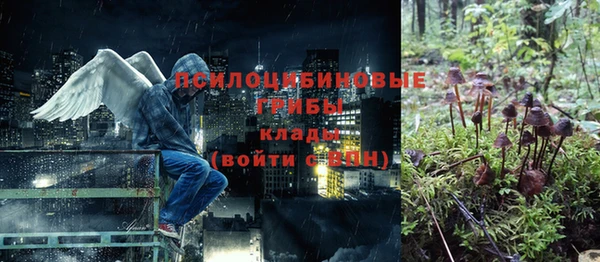 стаф Алексин