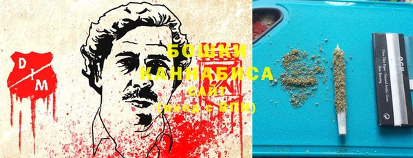 стаф Алексин