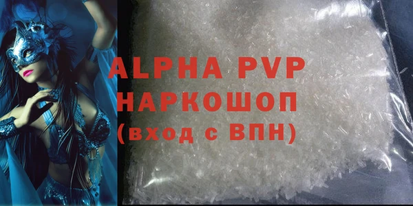 стаф Алексин